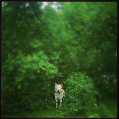 Profile Picture of Brandon Boyd (@Ace2020boyd) on Twitter