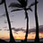 Profile Picture of Meaghan Sullivan (@meg.sullivan11) on Flickr