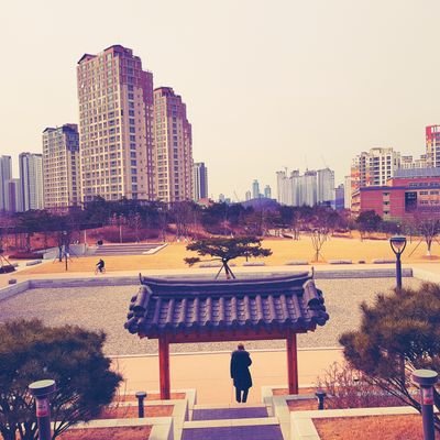 Profile Picture of Edmund Müller (@edwin12628) on Twitter