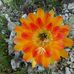 Profile Picture of Heinz Bauer (@heinz.bauer.77377692) on Facebook