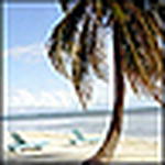 Profile Picture of Sony-pr (@sony-pr) on Flickr