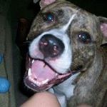 Profile Picture of Jeremy Poff (@jeremypoff) on Instagram