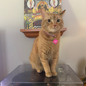 Profile Picture of Jake Federico (@epicace102) on Youtube