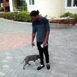 Profile Picture of Shane Cornwall (@cornwallshane) on Instagram