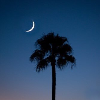 Profile Picture of P. Hampton Andrews (@camocarolinian) on Twitter