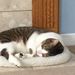 Profile Picture of Nancy Fitchett (@fitchettnancy) on Pinterest