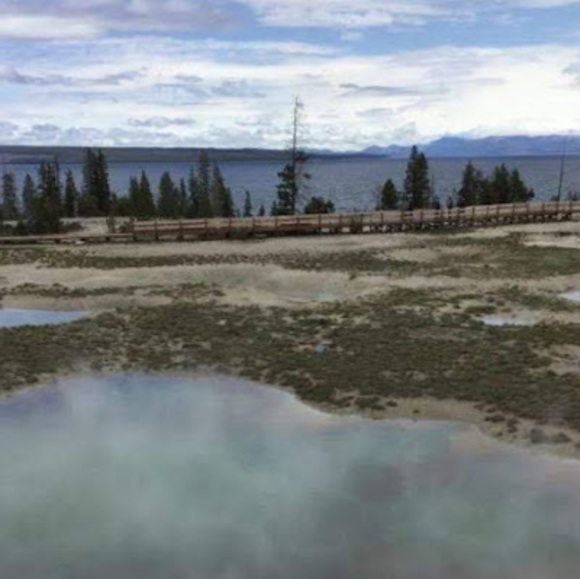 Profile Picture of Nicole Nunnelley (@nicolenunnelley) on Poshmark