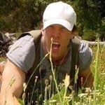 Profile Picture of Michael Liebmann (@michael.liebmann) on Instagram