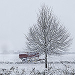 Profile Picture of Wmats (@wmats) on Flickr