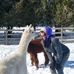 Profile Picture of Carly Cummings (@taco_lover145) on Instagram