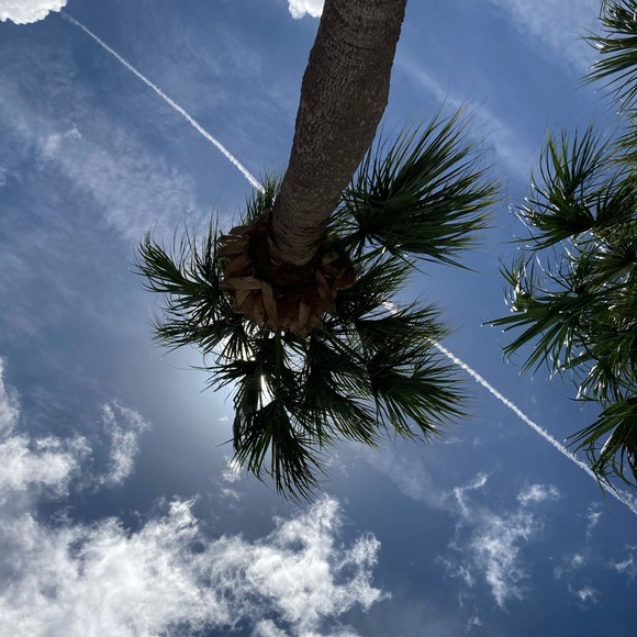 Profile Picture of Maria Rogacheva (@delmar300) on Poshmark