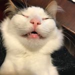 Profile Picture of hannacarroll (@hanna_carroll) on Instagram