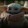 Profile Picture of Alex Dowdle (@alex_dowdle) on Tiktok