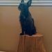 Profile Picture of Leah Smoot (@ldsmoot81) on Pinterest