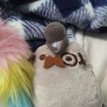 Profile Picture of Mary Jensen (@kittynomnoms28899) on Instagram