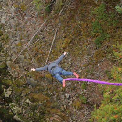 Profile Picture of Sam Colley (@ColleyLive) on Twitter