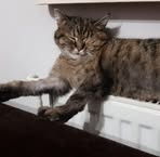 Profile Picture of Michał Okręt (@Michał-Okręt) on Facebook