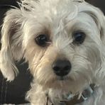 Profile Picture of Dawson Priest (@Dawson-Priest) on Facebook