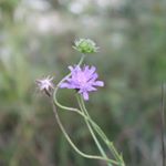 Profile Picture of Photographer Paul (@photoshotix) on Instagram