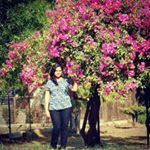 Profile Picture of Shiny Abraham Bennett (@shinyheartbeat) on Instagram