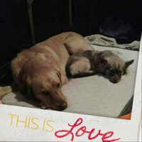 Profile Picture of Donna Devito (@donna-devito-8) on Quora