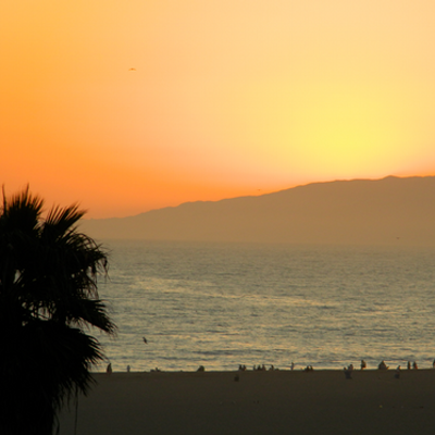 Profile Picture of Mike Lilly (@MikeLilly1) on Twitter