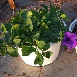 Profile Picture of Bernard Kleinschmidt (@bernard.kleinschmidt.3) on Facebook