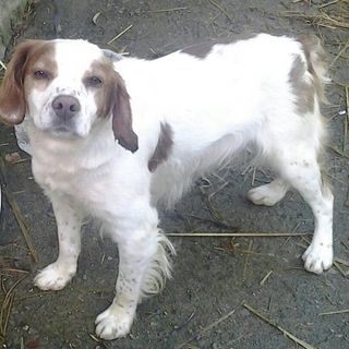 Profile Picture of Cassandra Gascon (@cassandra.gascon.7) on Facebook