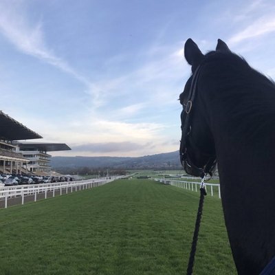 Profile Picture of Ryan McCue (@mccueryan12) on Twitter