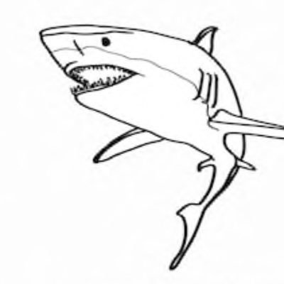 Profile Picture of Sebastian hanna (@seb_at_my_best) on Twitter