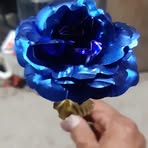 Profile Picture of Seal Glen (@Seal-Glen) on Facebook