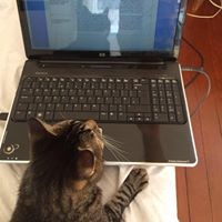 Profile Picture of Casey Haynes (@casey-haynes-5) on Quora