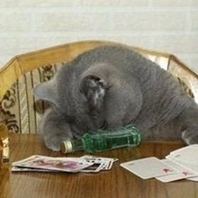 Profile Picture of Gregory Lee Pardo (@StarwoodGLP) on Twitter