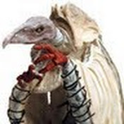 Profile Picture of Gerald Hough (@yigzat) on Youtube