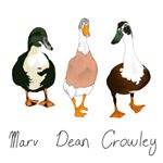 Profile Picture of Dean, Crowley, and Marv (@dean_crowley_marv_duck) on Instagram