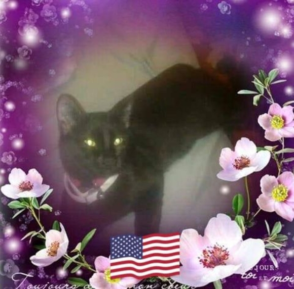 Profile Picture of Nicole Furgerson (@nicole_anime77) on Poshmark