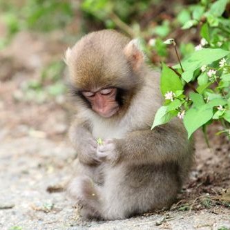 Profile Picture of Emma Allen Allen (@shiloh6turbo) on Twitter