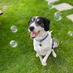 Profile Picture of Lisa Marie Draper (@lisa_draper29) on Instagram