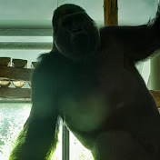 Profile Picture of Jamie Batchelor (@jamiebatchelor5704) on Youtube