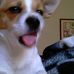 Profile Picture of Cooper Mota (@cooper.mota) on Facebook