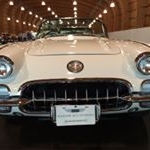 Profile Picture of David Kreindel (@sea_mso_alw) on Instagram