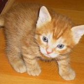 Profile Picture of Benjamin Gau (@benjamin.gau.5) on Facebook