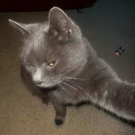 Profile Picture of Eugenia Soriel Bravo Marin (@eugeniasorielbravo) on Instagram