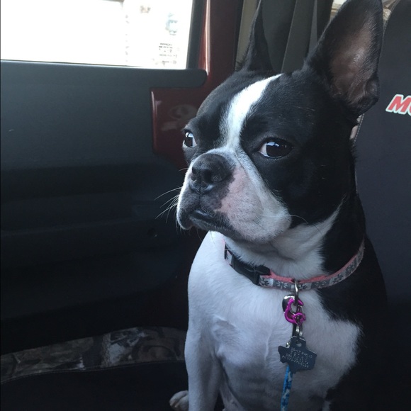 Profile Picture of Deena Kothmann (@deenak917) on Poshmark