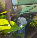 Profile Picture of Kendra Bednarek (@Kendra-Bednarek) on Facebook