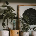 Profile Picture of Chris Lindsay (@chris_lindsay) on Instagram