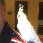 Profile Picture of Janet Edwards (@edwardsjanet597) on Flickr