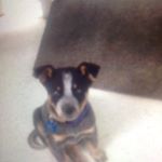 Profile Picture of Katy Renee (@moistnipples1407) on Instagram