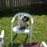 Profile Picture of Alan Bright (@bright_alan) on Instagram