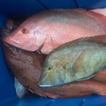 Profile Picture of Michael Richters (@mickyr16) on Instagram